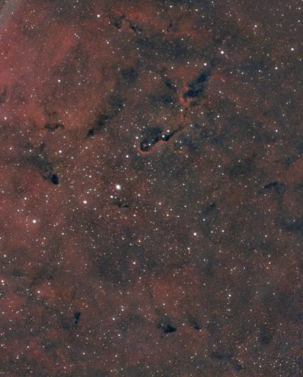 IC 1396 Elefantenrüsselnebel, aufgenommen mit SeeStar S30 Pro auf La Palma, 6 Stunden Belichtungszeit