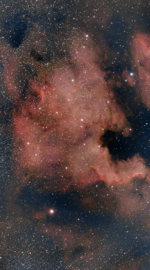 NGC 7000 Nordamerikanebel, aufgenommen mit ZWO SeeStar S30 Pro auf La Palma, 3 Stunden Belichtungszeit